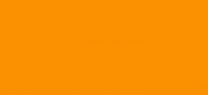 Желтый нарцисс